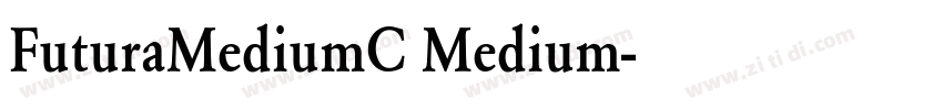 FuturaMediumC Medium字体转换